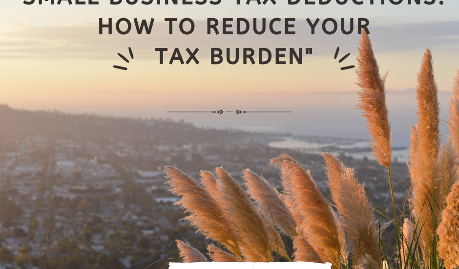 SMALL BUSINESS TAX WRITE OFF CANADA